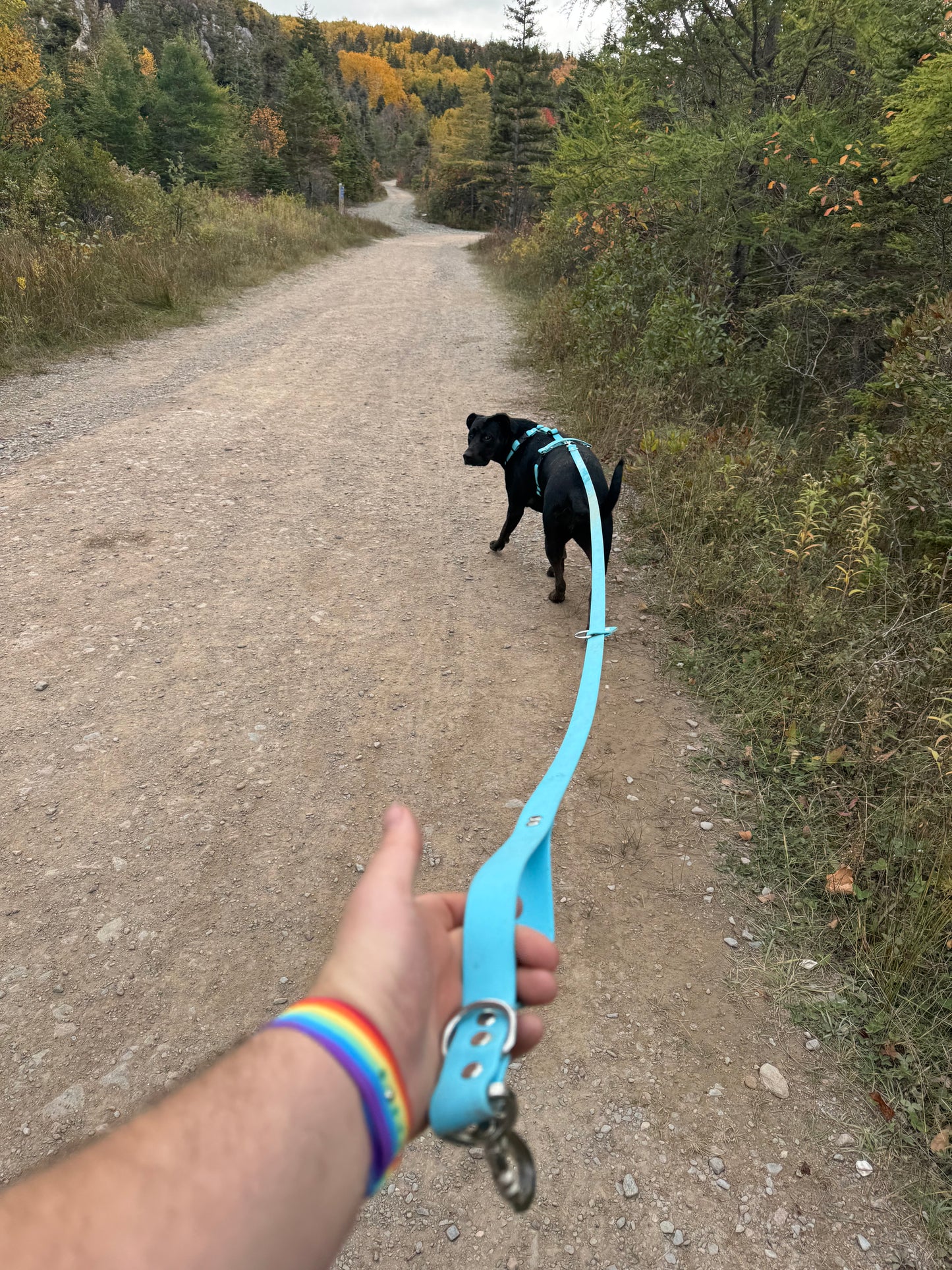 Traffic Handle Add-on