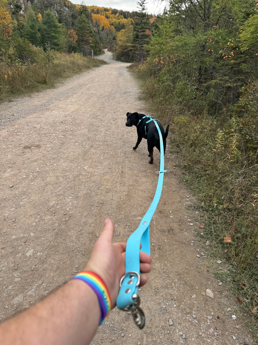 Traffic Handle Add-on