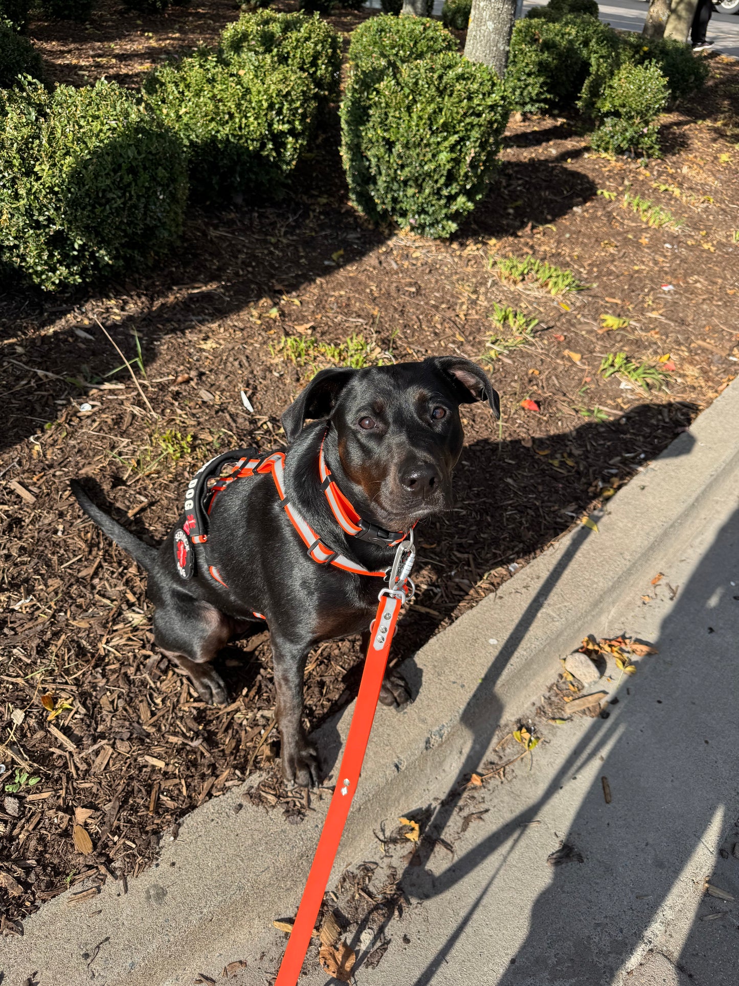 Traffic Handle Add-on