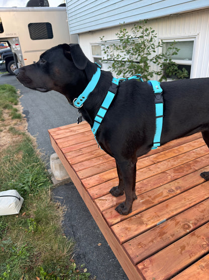 Adventure Harness