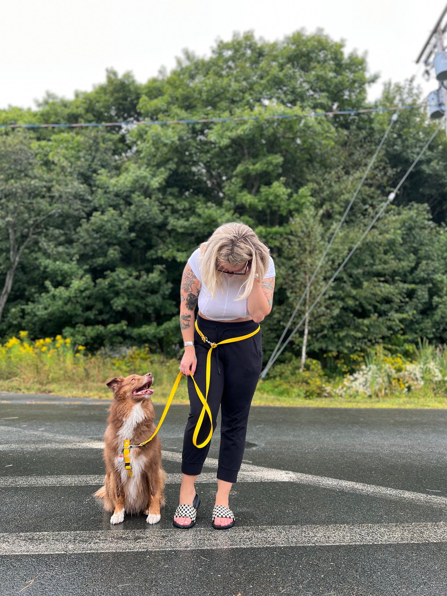 Adventure Hands-Free Leash